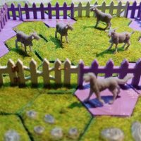 goats in a picket fence field